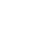 Meet the Team