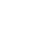 Meet the Team